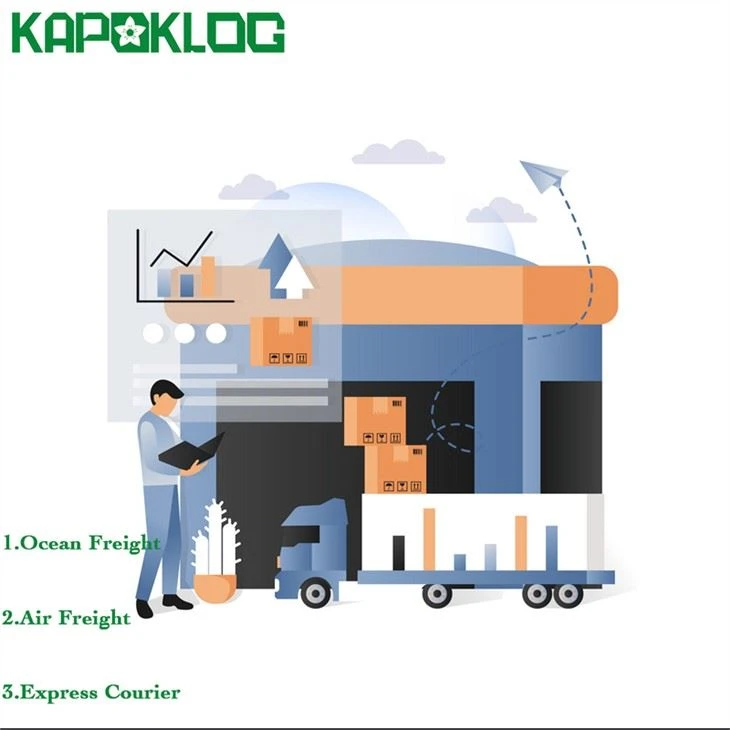 Top 10 des entreprises de logistique DDP porte à porte mer